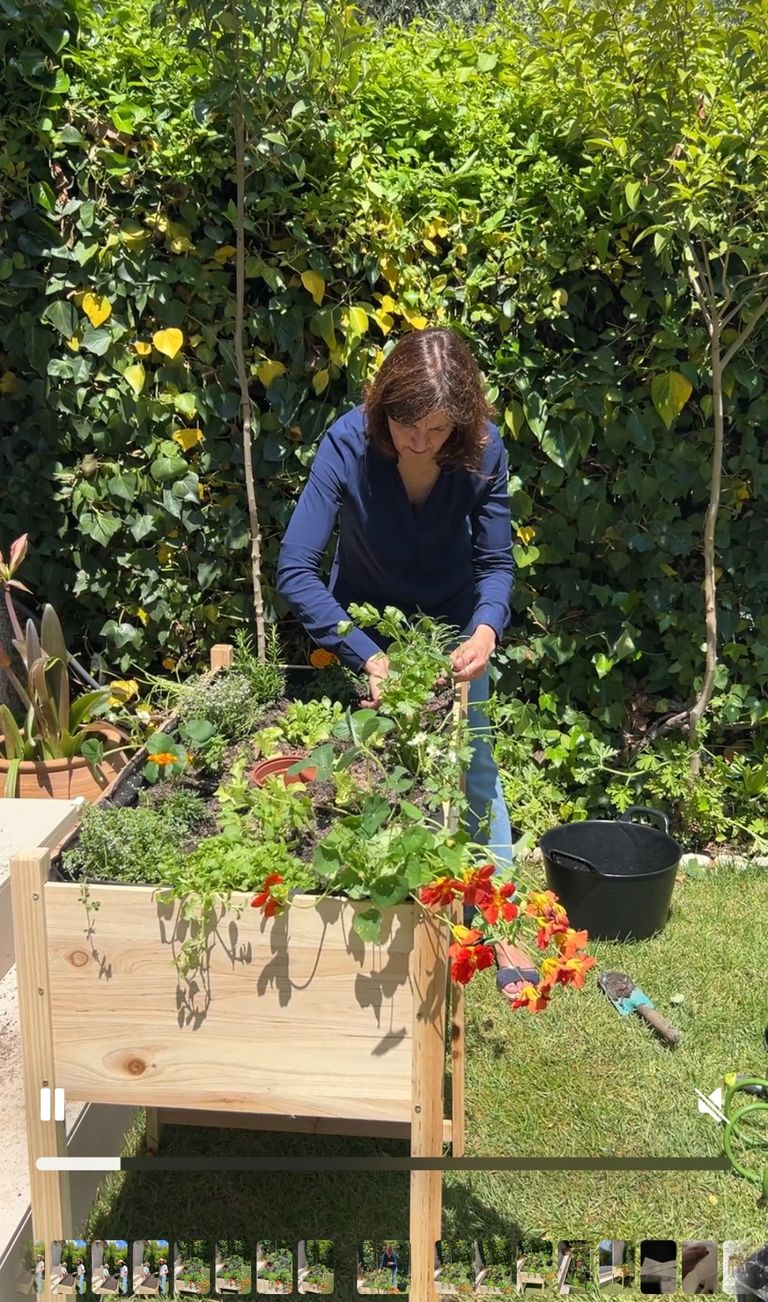 huerto en mesa de cultivo
