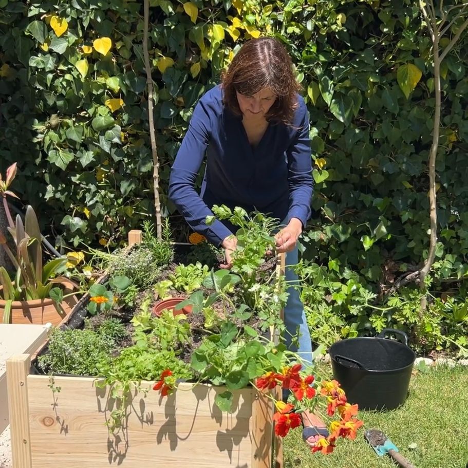asesoría y formación para tu jardín comestible o huerto urbano en maceta, bancal o jardín