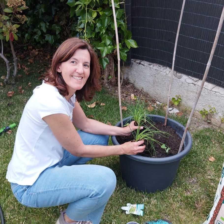 ayuda y acompañamiento para diseñar e instalar tu huerto urbano en jardín o en maceta